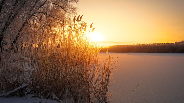 Ice covered lake at sunrise