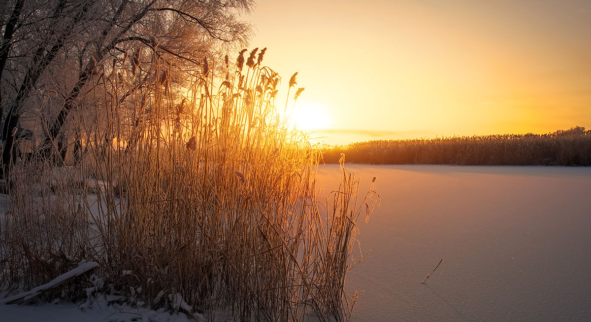 Ice covered lake at sunrise