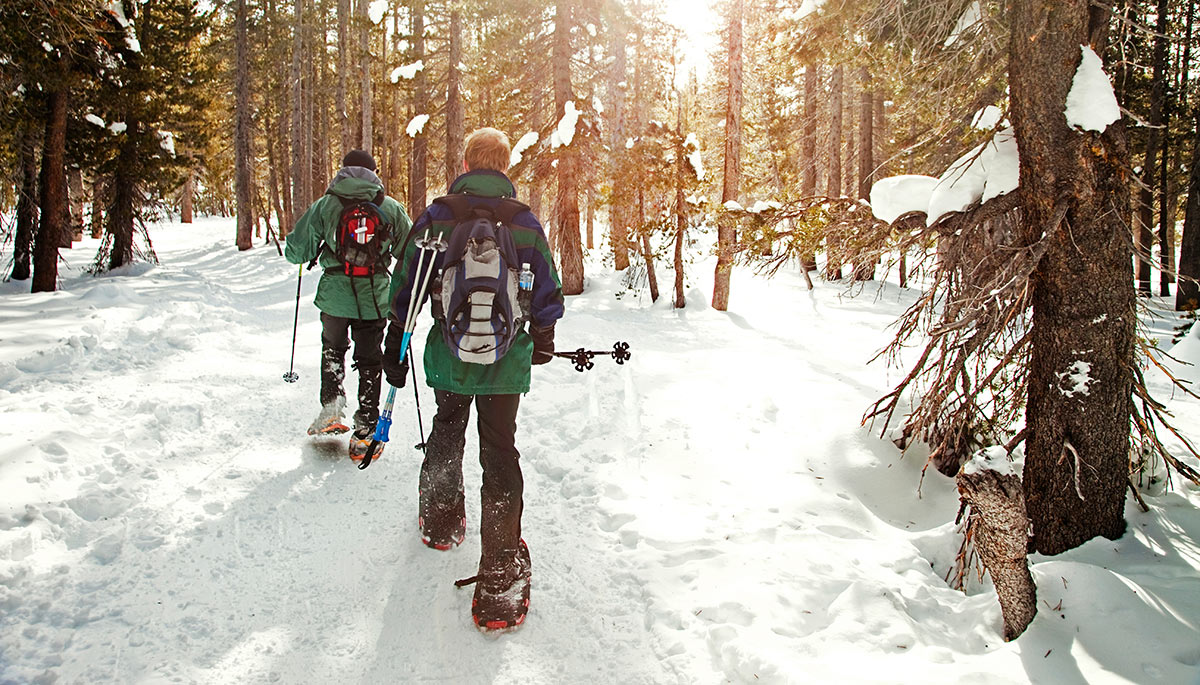 Two people snowshoeing in the Maine woods