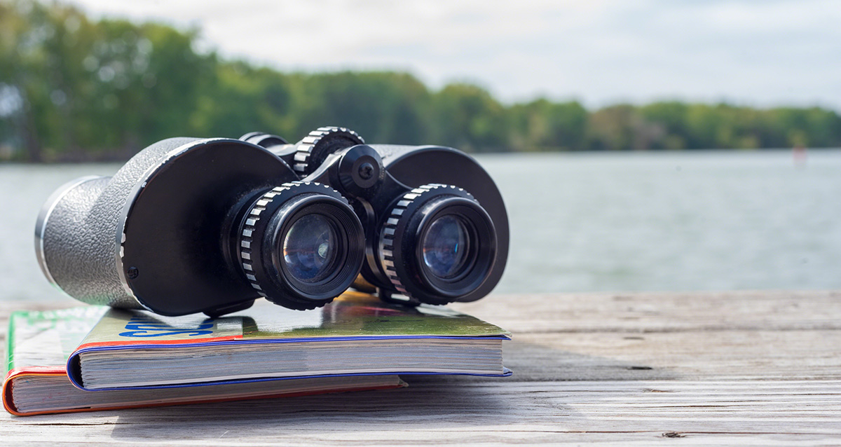 Binoculars and field guides for birdwatching