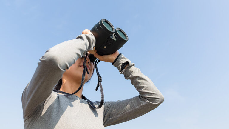 Young woman birdwatching with binoculars