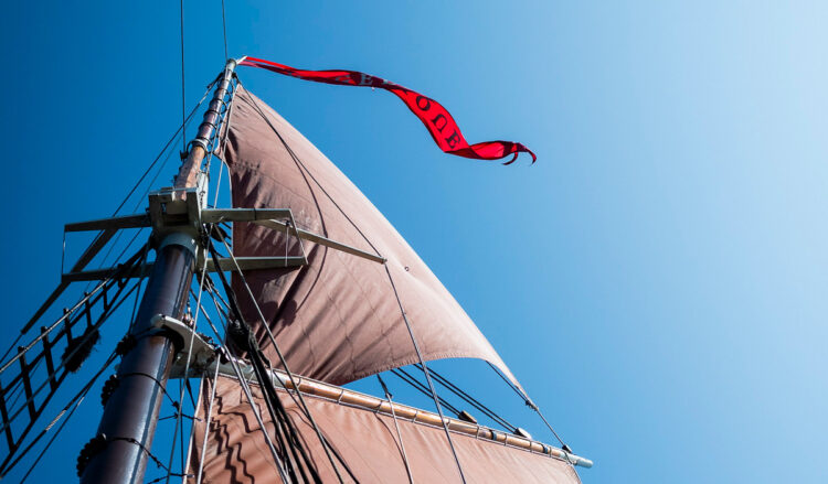 Sailing mast in MidCoast Maine