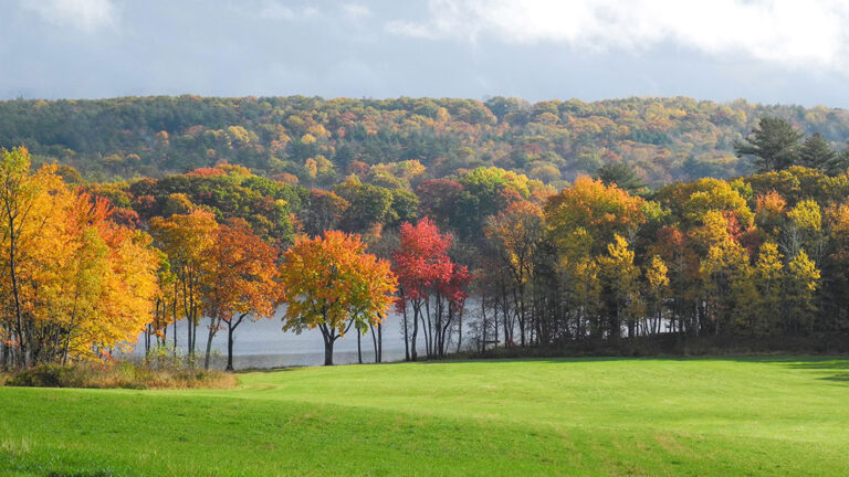 Fall foliage in MidCoast Maine