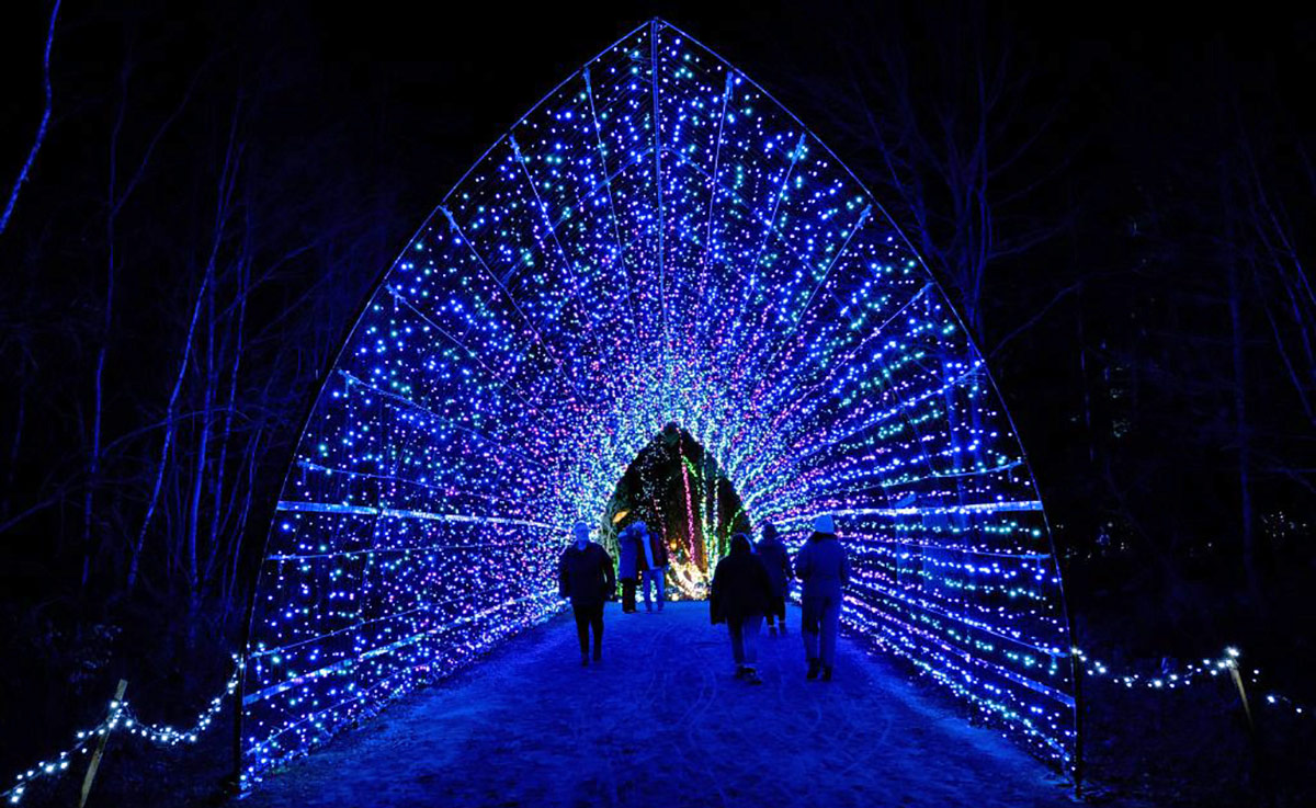 Gardens Aglow at the Coastal Maine Botanical Gardens, Boothbay, Maine
