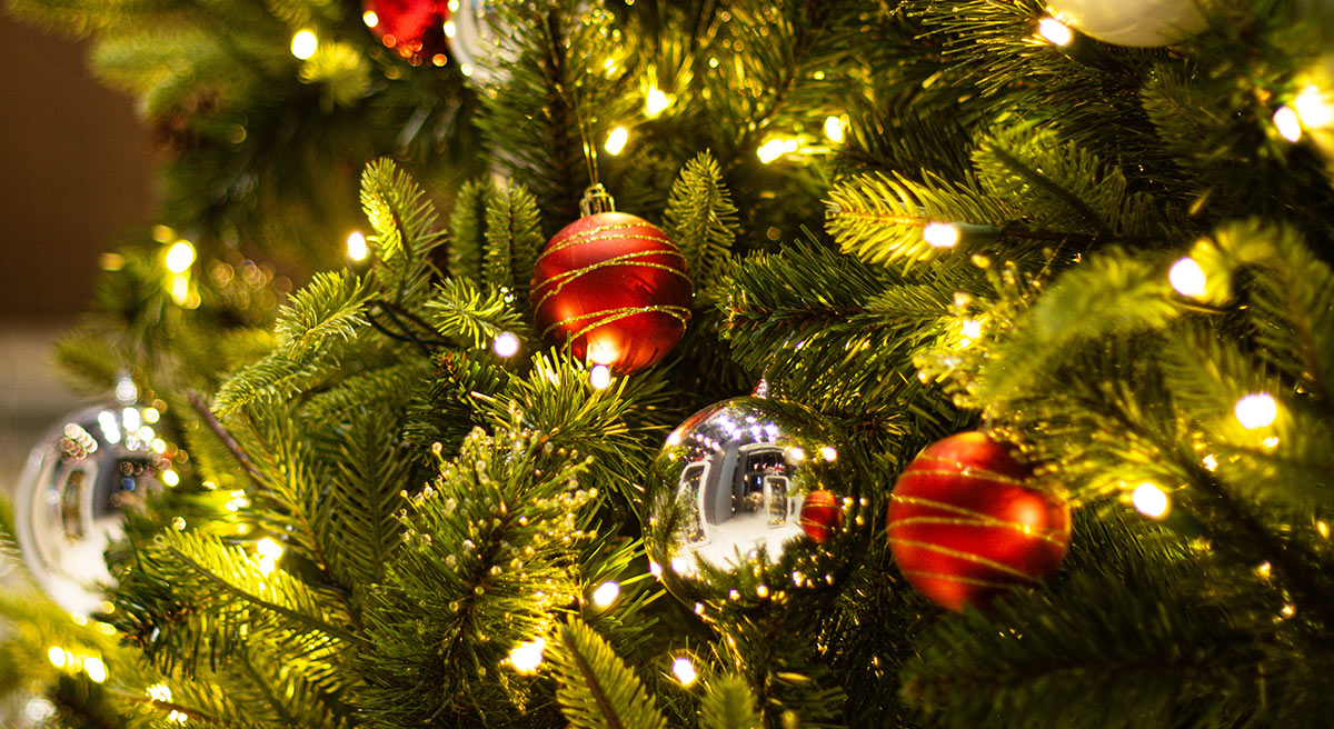 Lights of Hope, Brunswick, Maine