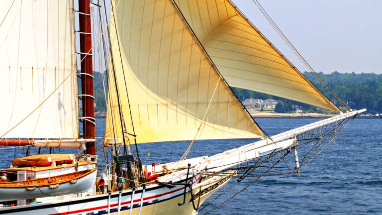 2026 Summer Festivals include Windjammers