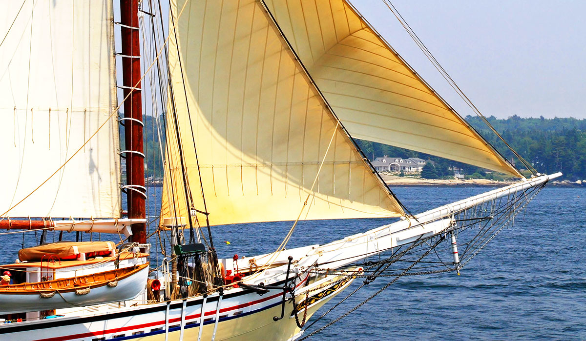 2026 Summer Festivals include Windjammers